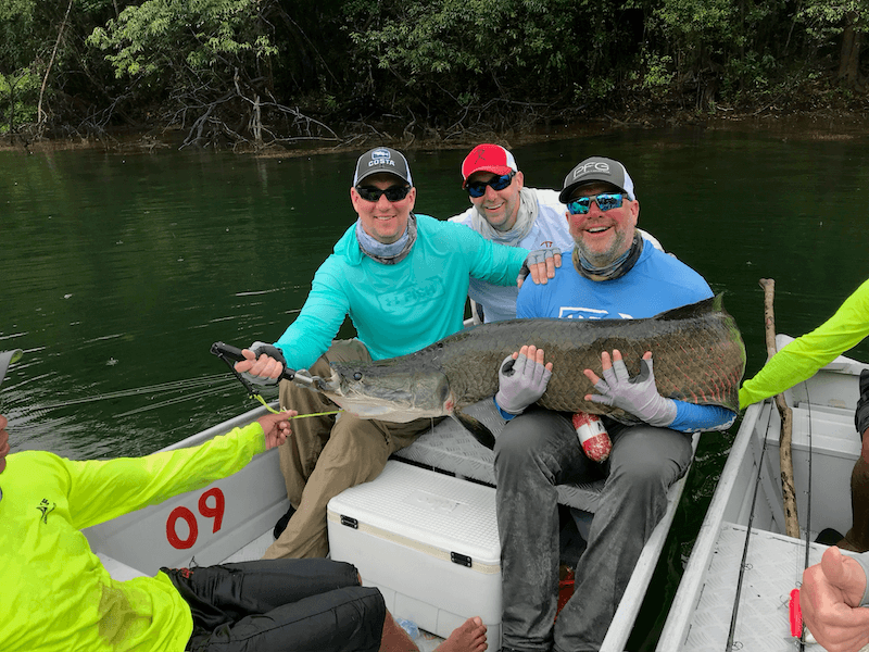 Redtail Catfish