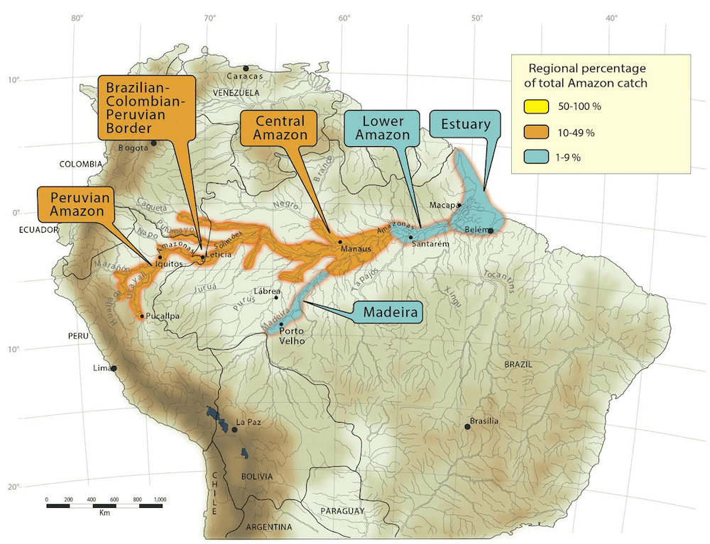 Arapaima Distribution Map