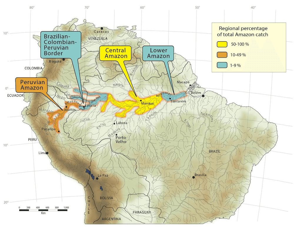 Silver Arowana Distribution Map