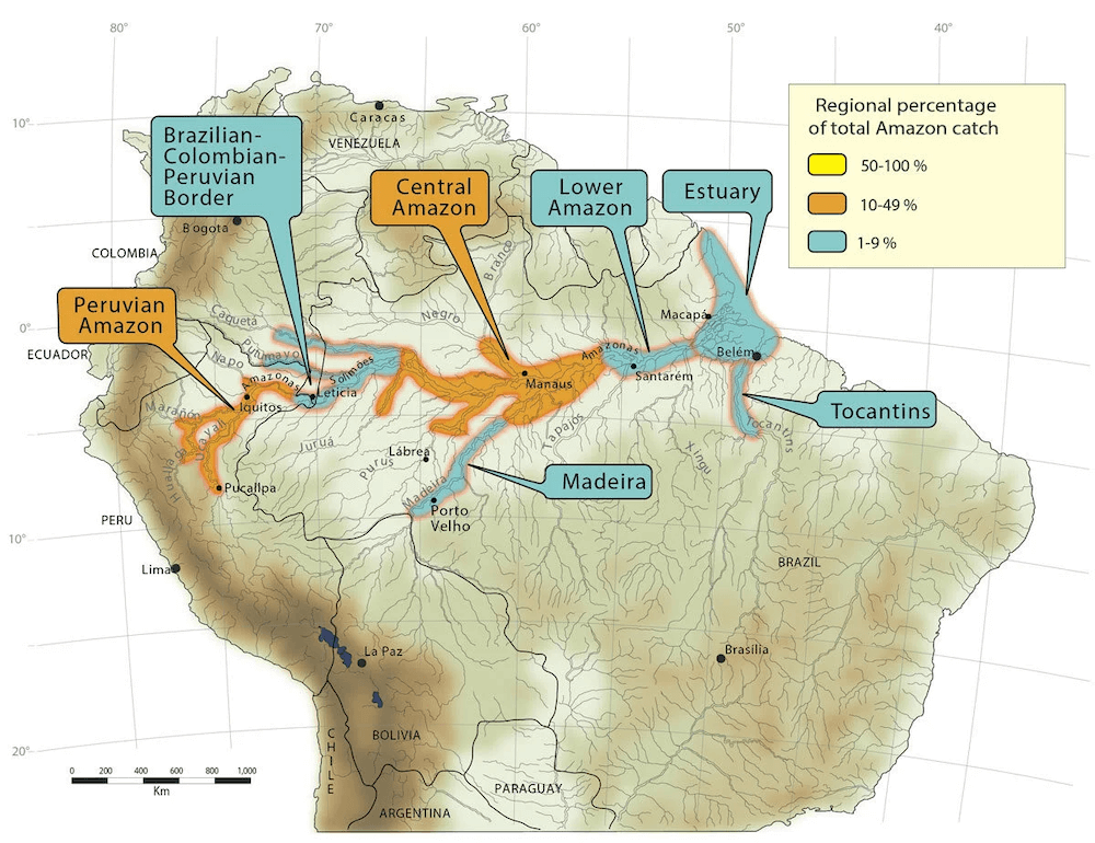 Bicuda Distribution Map