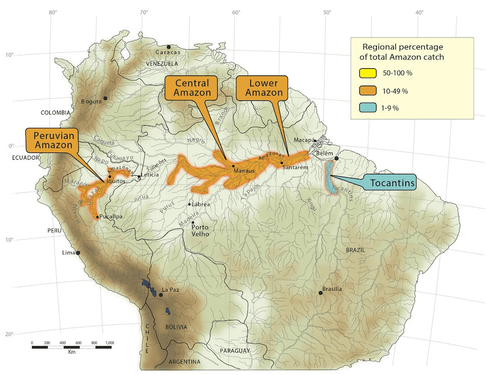 Plecostomus Distribution Map