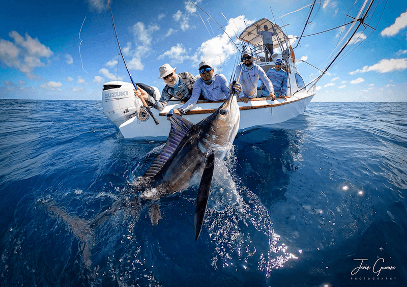 Galapagos Fishing View 1