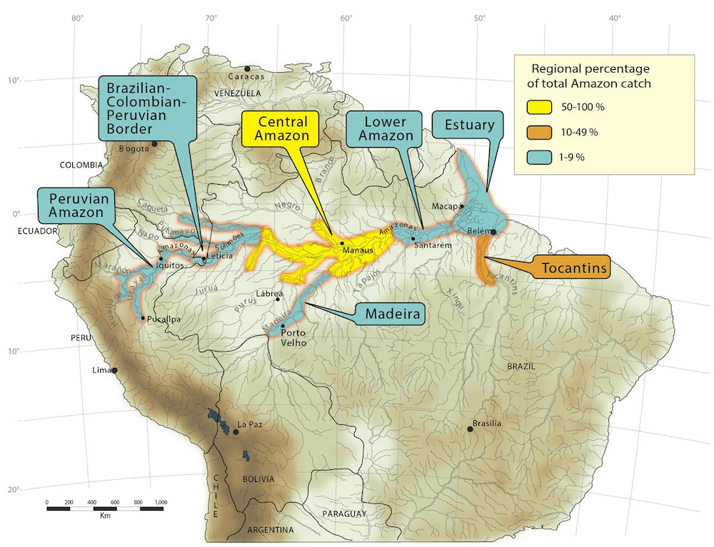 Giant Oscar Distribution Map