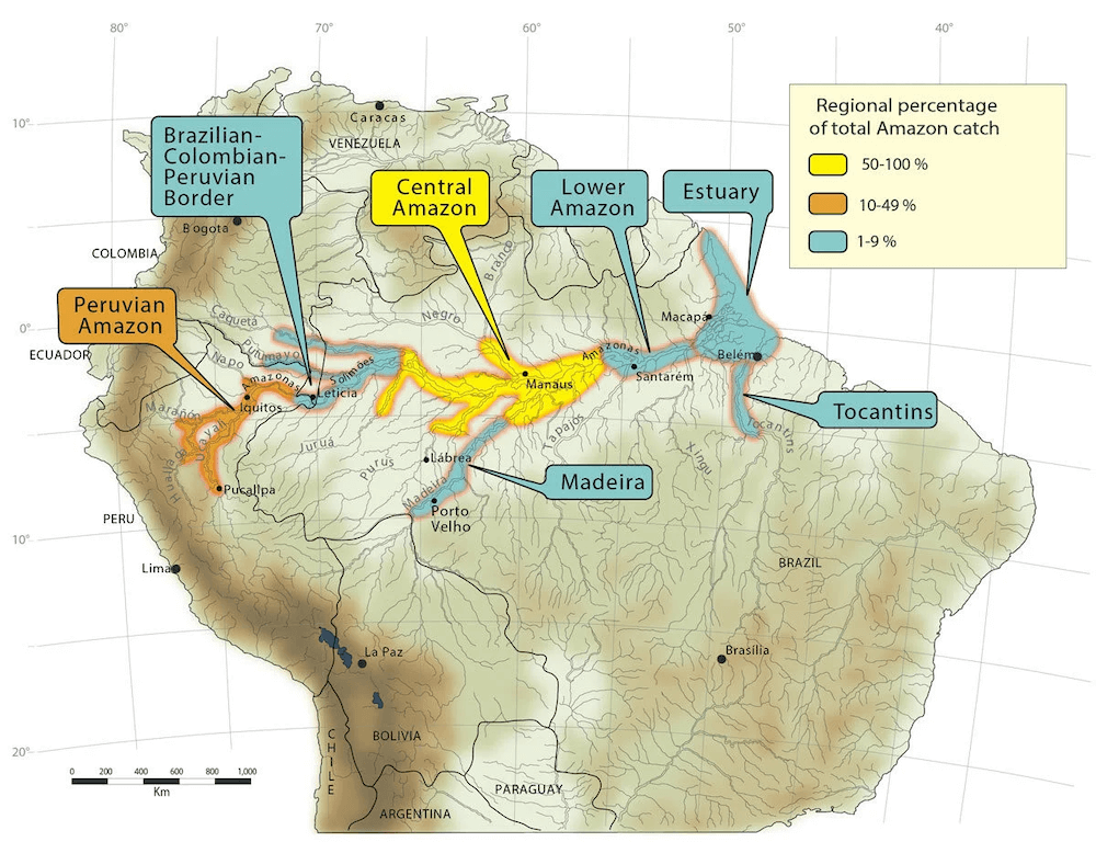 Pacu Distribution Map