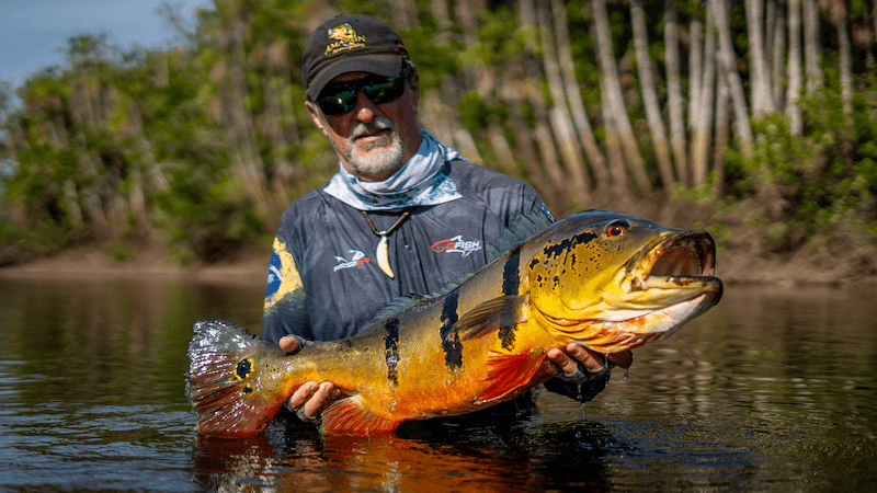 Peacock Bass