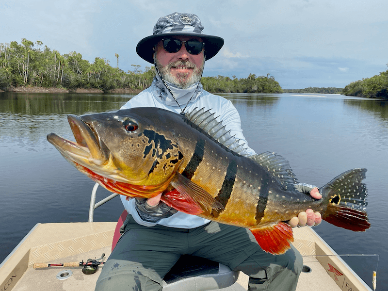 Speckled Peacock Bass