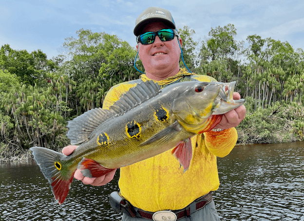 Butterfly Peacock Bass