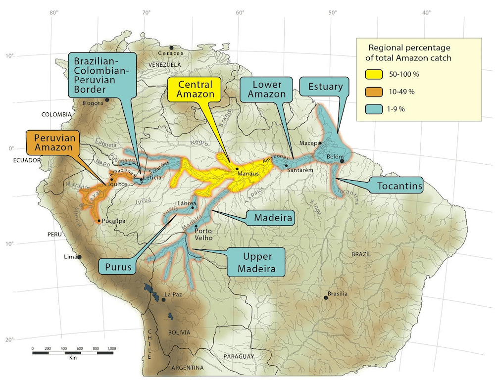 Piranha Distribution Map