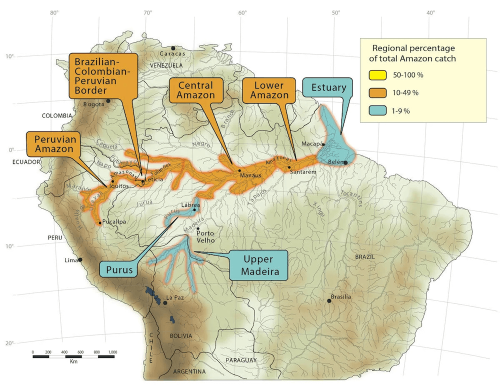 Shovelnose Tiger Catfish Distribution Map