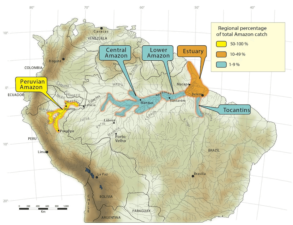 Dog Fish Distribution Map